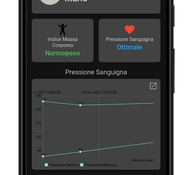 Healt Wiser – The personal Health Monitor